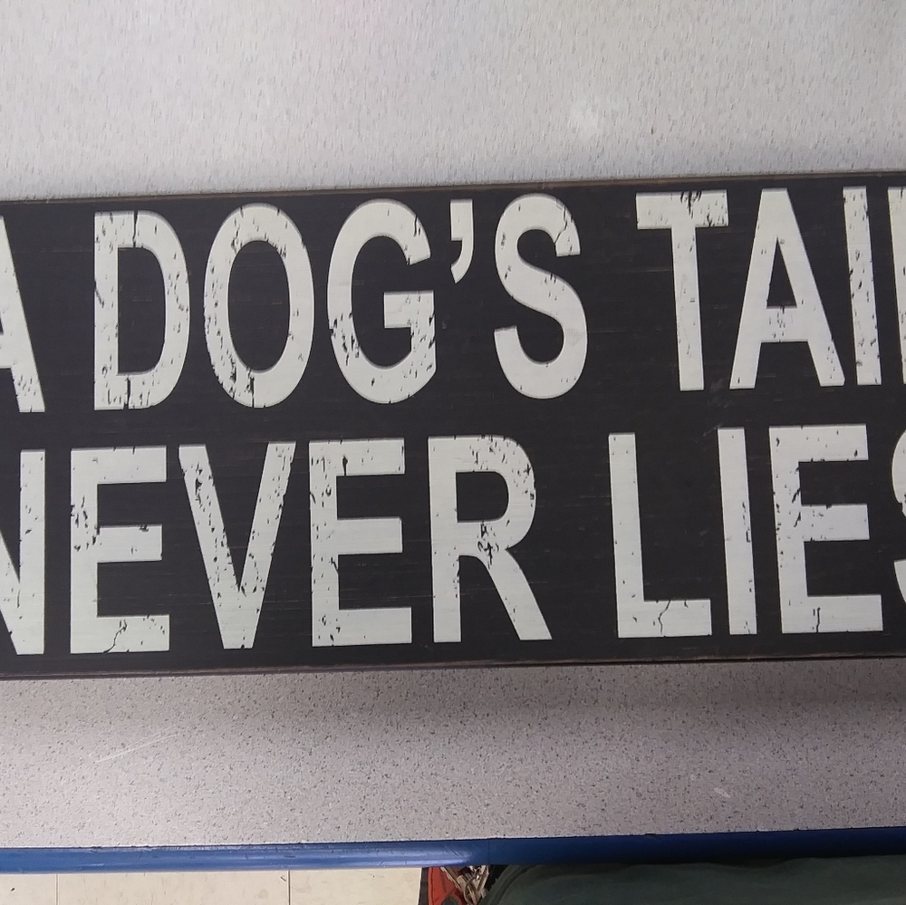 Dog-friendly decor